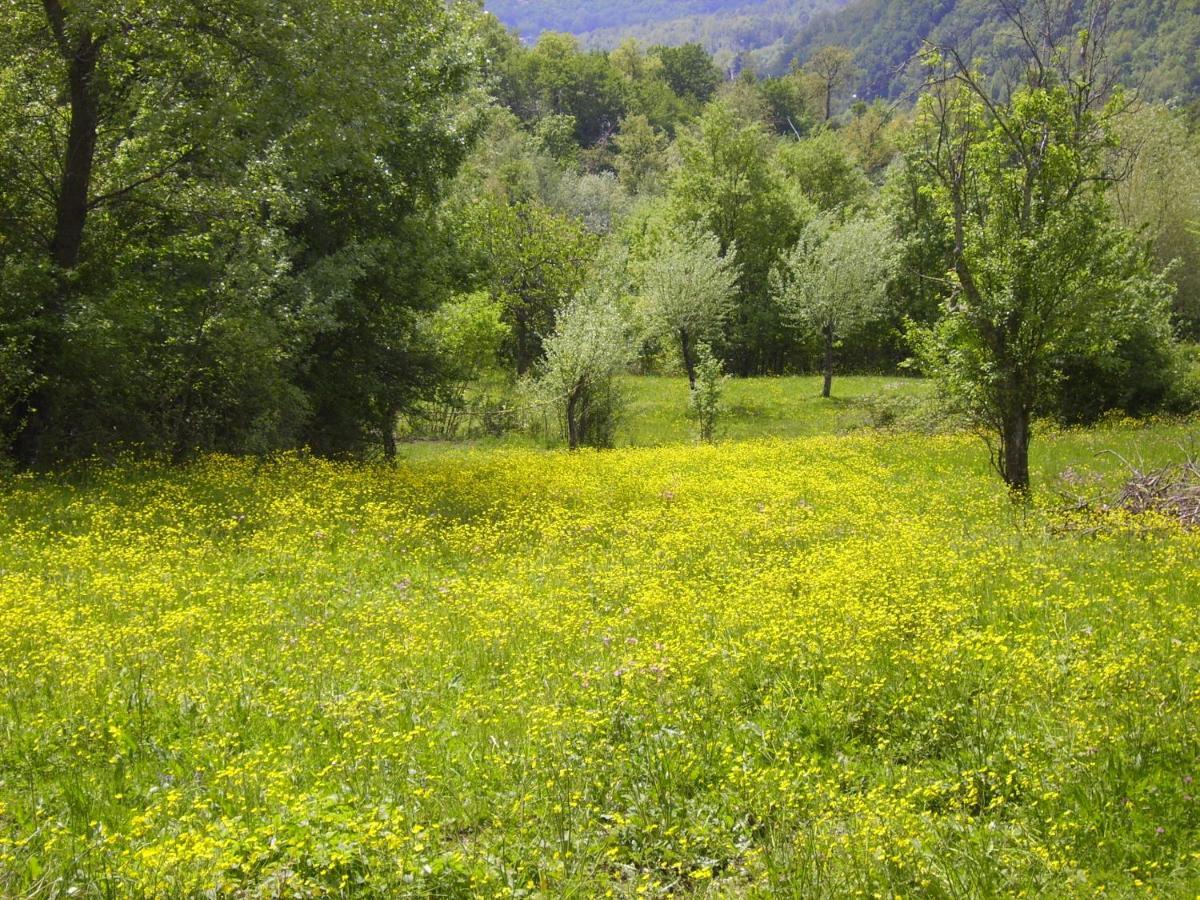 B&B Podere Bramapane Montelungo Superiore Luaran gambar