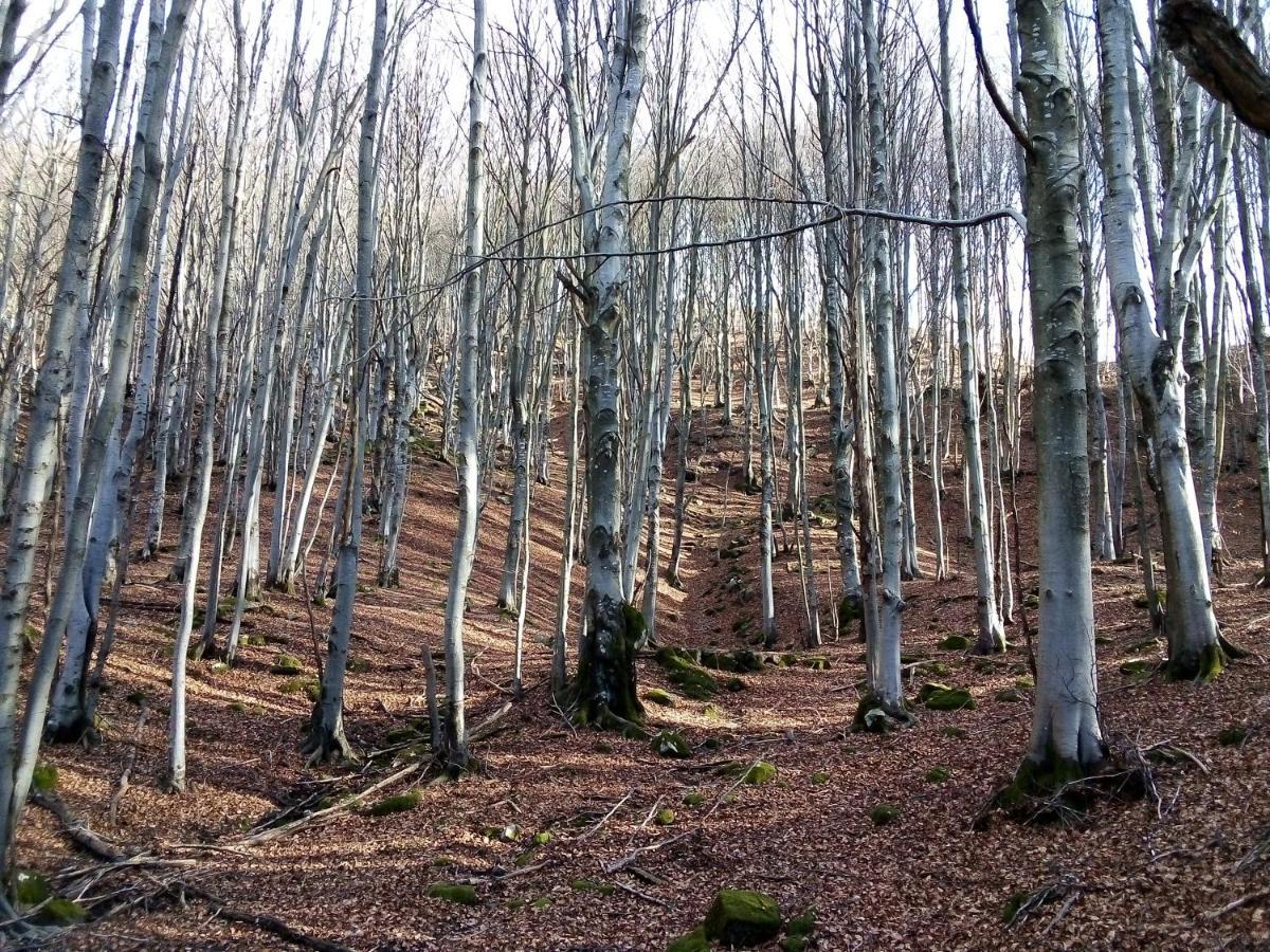 B&B Podere Bramapane Montelungo Superiore Luaran gambar